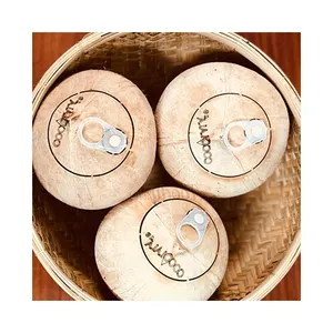 Fresco de coco joven con tapa/de coco joven anillo de tiro buen precio para la exportación (Kaylin + 84817092069)