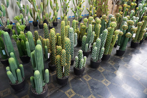 Árbol de cactus artificial en maceta de <span class=keywords><strong>agave</strong></span> de plástico y <span class=keywords><strong>mini</strong></span> plantas artificiales Colección de cactus decorativa de interior duradera - Product Image 6