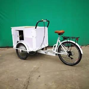 تخصيص ثلاث عجلات دراجة ثلاثية العجلات عربة دراجة ثلاثية العجلات القهوة الغذاء الدراجة بيع الساخنة