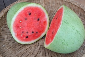 2021 Fresh & <b>Sweet</b> Quality Water Melon Premium Grade HACCP Certified 2 Year Shelf Life Made in ZA Size 25-50cm <b>3kg</b> - Product Image 2