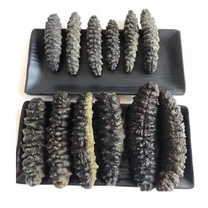 GOOD PRICE DRIED SEA CUCUMBER HIGH QUALITY WHITE TEAT FISH CHEAP PRICE ELEPHANT TRUNK FISH FROM VIETNAM