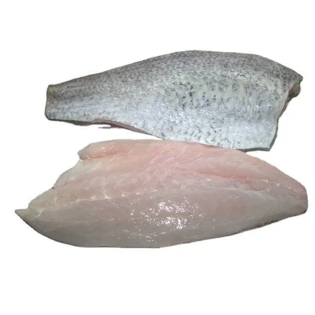 超おいしいトロールの新鮮な魚 (800-1000 gm/pc) バルクパッキング10 kg/CTN冷凍バラマンディフィレット