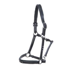 Halter intelligent en cuir d'approvisionnement d'usine avec 9 produits de cheval rentables de montage en laiton de pierre meilleur prix - Product Image 1