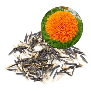Semillas de Marigold - Semillas de Calendula Officinalis - Semillas de Genda - Product Image 2