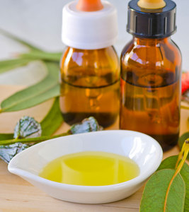 ผู้จัดจำหน่ายน้ำมันหอมระเหยยูคาลิปตัสออร์แกนิกที่ผ่านการรับรอง/ผู้ส่งออก - Product Image 3