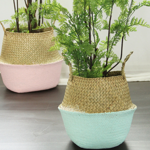 Best Seller Versalite Cesta de almacenamiento Plegable Tropical Seagrass con tapa de PC Precio al por mayor de Vietnam - Product Image 3