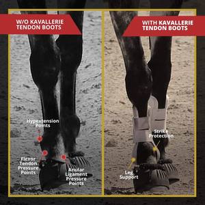 Venta al por mayor exceso tendón caballo de carreras casco botas - Product Image 5