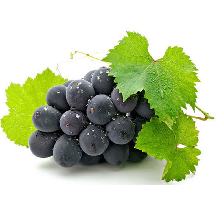 Wholesale fresh seasonal summer black Sand Giant Peak Seedless grapes