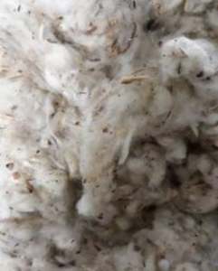 Lickerin A and b/ การ์ดลอย/แถบแบนผ้าฝ้ายของเสียในราคาต่อรองได้ - Product Image 4