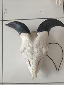 Calaveras de Cabra Talladas a Mano, Tallado de Alta Calidad 100% Hecho a Mano por Artesanos Especializados - Product Image 5