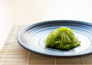 MEJOR PRECIO ALGA MARINA LATO/ CAULERPA LENTILLIFERA/ UVA DE MAR/ VICKY +84 90 393 1029 - Product Image 5