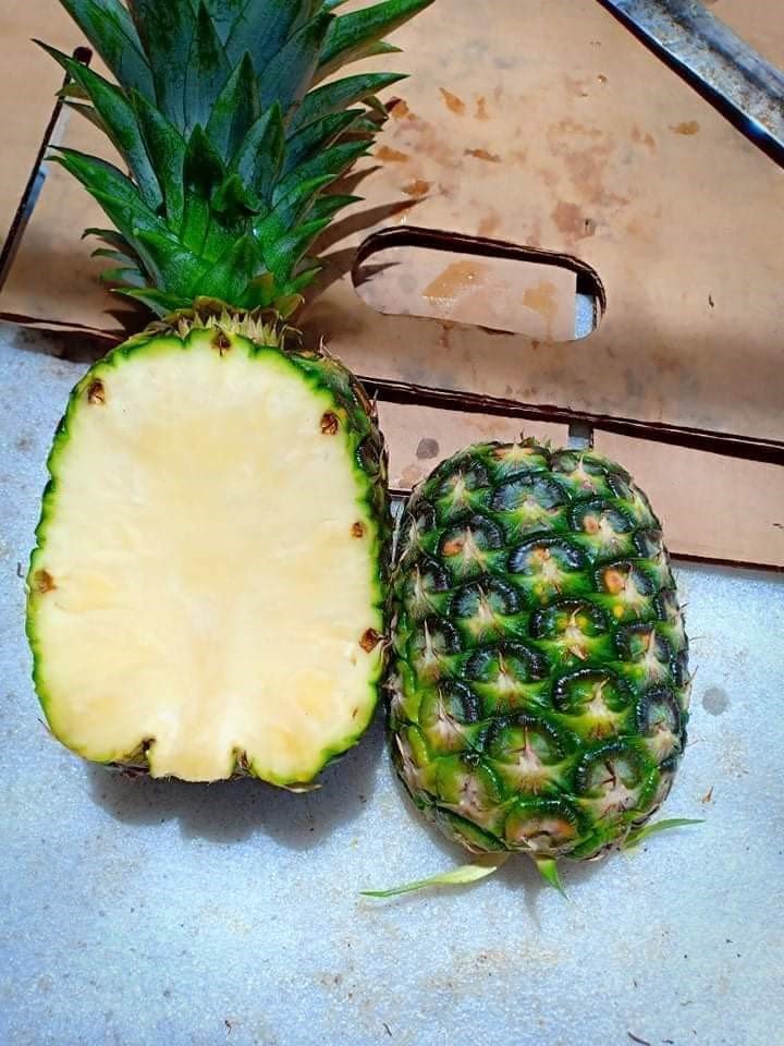 MD2 PINEAPPLE Vietnam 10 Kg GRADE 1 Natural Sweet FRESH YELLOW FLESH COMMON Cultivation 10-12 Cm with HACCP Certification