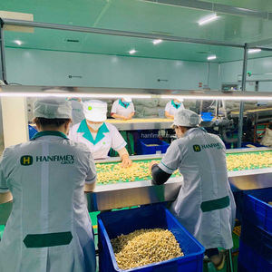 Graines de noix de cajou biologiques du Vietnam OW320-Haute qualité-MEILLEUR PRIX TR14 Hanfimex - Product Image 2