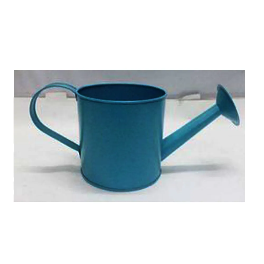 Sky Blue Watering cans Made In India Drop Shipping