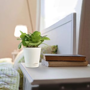 Raboteuse d'extérieur, une élégance pour le jardin, donne un Look solide et sensation, idéal pour la maison et le balcon - Product Image 2