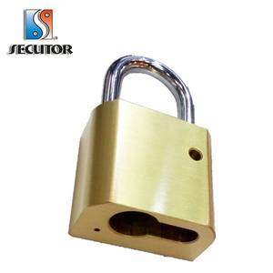 กุญแจทองเหลืองแบบครึ่งทรงกระบอกยุโรป อุปกรณ์ช่างกุญแจ - Product Image 5