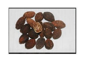 Cardamomo Negro Más Vendido 100% Natural - Amomum Tsao-ko de Vietnam - Product Image 4