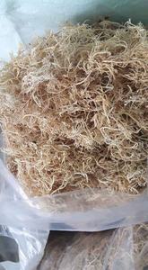 Vietnam Wholesale <b>Seaweed</b> Product and Bag Packaging Dried Gracilaria Verrucosa for Export - Product Image 3
