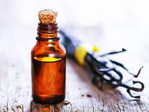 Aceite Esencial de Vainilla Planifolia 100% Puro y Natural, Extraído con Solvente, Certificado GMP, Mejor Calidad, Exportación al por Mayor desde India - Product Image 4