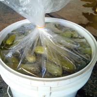 Pepinillos en cubos de plástico, verduras conservadas en salmuera