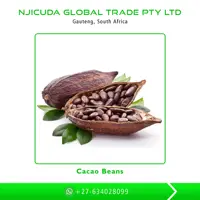 100% Certifié bio Fèves de Cacao