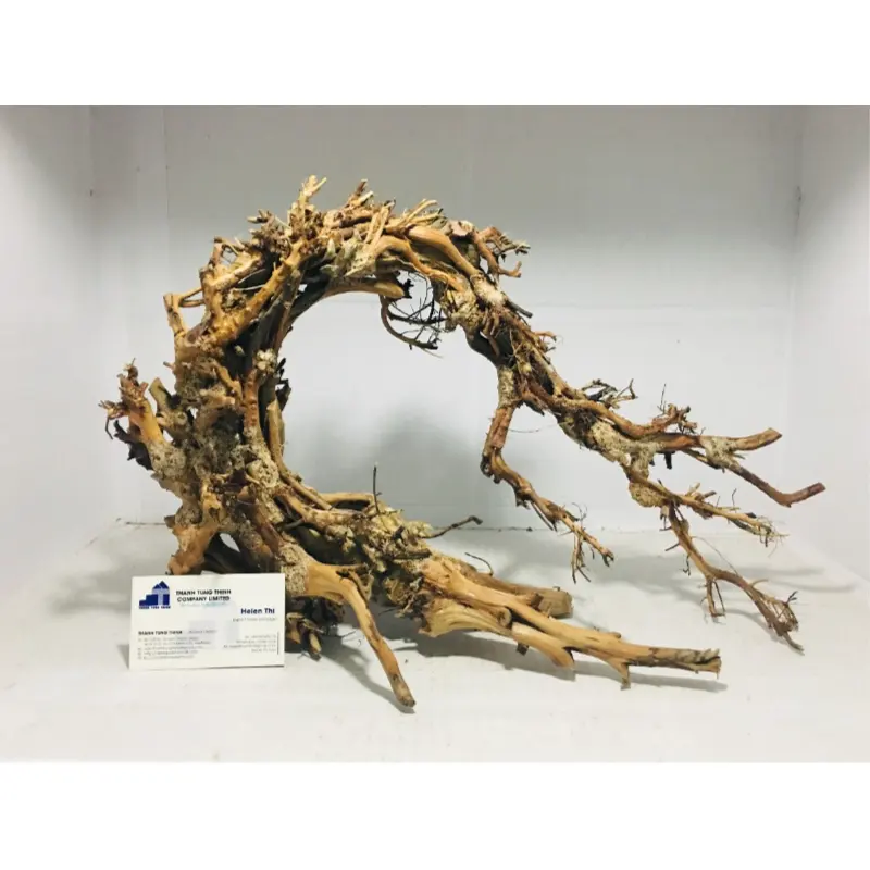 Artículos calientes 2023 acuario vietnamita bonsái Driftwood plantas acuáticas para filtro de acuario WhatsApp: + 84 961005832