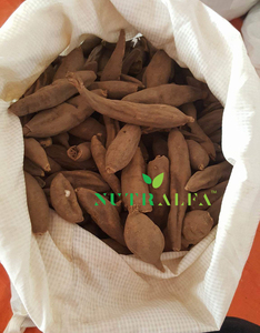 Pivoine pigmenté buzor bujor pion pfingstrose, nouveauté - Product Image 3