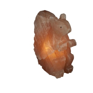 เกลือสีชมพูที่มีคุณภาพสูงที่สร้างขึ้นมินิ USB เกลือโคมไฟกระรอกรูปร่างที่มีอยู่ที่นี่-Sian องค์กร - Product Image 1