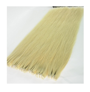 Ruban à cheveux 100% naturels vierges, cheveux humains lisses, trame #613, aspect naturel, livraison gratuite - Product Image 1