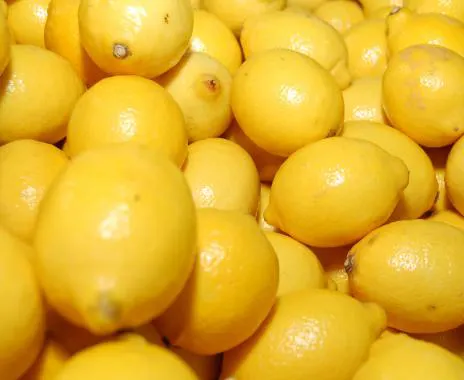 ليمون طازج بدون بذور/فاكهة ليمون أخضر بدون بذور من جنوب أفريقيا بجودة عالية