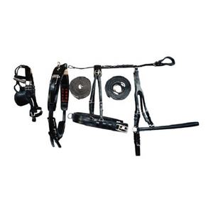 Juego de arnés para caballos con piezas completas. - Product Image 1