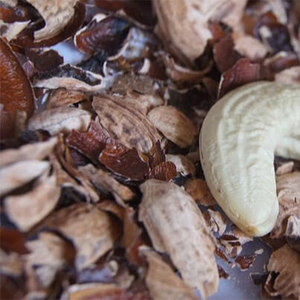 Poudre de noix de cajou naturelle 3-10mm granulés en vrac déchets agricoles poisson chien cochon bétail cheval alimentation très bon marché - Product Image 1