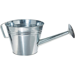 Arrosoir de fleurs en métal galvanisé avec poignée, 1 pièce, panneau d'arrosage décoratif de jardin - Product Image 5