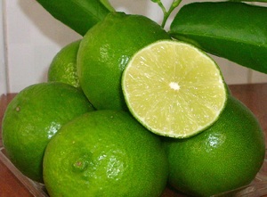 Limón fresco/Lima fresca, el mejor precio, importación de exportación - Product Image 2