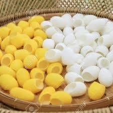 Capullos de Gusano de Seda Naturales al por Mayor - Bola de Gusano de Seda Seca para el Cuidado de la Piel al Precio Más Bajo de Vietnam// Rachel: +84896436456 - Product Image 6