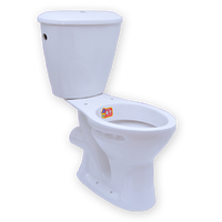Siphonic Dual Flush S Trap Toilette deux pièces Wc Water Closet Toilette avec housse de siège à fermeture douce