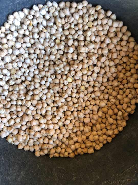 Organic White Channa/Indian Dried White Chickpeas 9mm