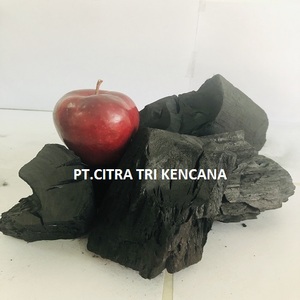 100% HIGH QUALITY HARD WOOD FRUIT CHARCOAL GRILL HARD WOOD BBQ CHARCOAL FOR NEW YEAR CELEBRATIONS IN Coimbra Portugal Europe - Product Image 3