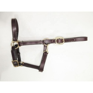 Haltères pour chevaux de qualité supérieure, durables et confortables, en cuir véritable, boucle en laiton, couleur, taille et modèle personnalisés, FI-LH-2024-26 - Product Image 3