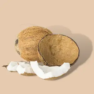 Vietnam suppliers copra coconut bulk husked coconut dried fruits dry fruits and nuts