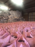 Résine d'encens de Somalie 100% naturelle et biologique, qualité 1, résine d'encens Brock, gomme d'encens, encens pur de Somalie