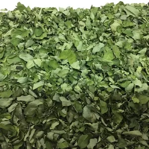 Yüksek kaliteli üretici Moringa kurutulmuş yaprak (Moringa Oleifera) bağışıklık güçlendirici hindistan'dan 100% saf ucuz Moringa