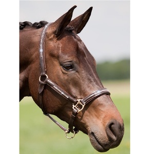 Licol de cheval en cuir de luxe de haute qualité et tendance avec chaîne en cristal transparent sur la couronne, le nez et les joues - Product Image 4