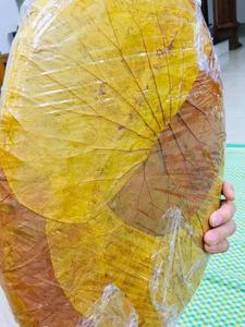 Assiettes jetables en LOTUS, 100 pièces, assiettes à feuilles de LOTUS - Product Image 2