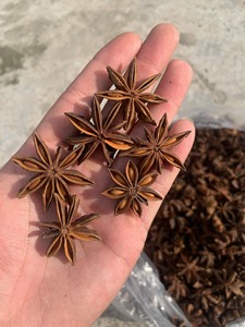 Anís estrellado de Vietnam, buena calidad, 84968120420whatsapp - Product Image 6