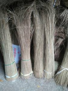 คุณภาพสูงมะพร้าวไม้กวาดSTICKS/NIPAHไม้กวาดSTICKS (Lee Tran: + 84987731263) - Product Image 3