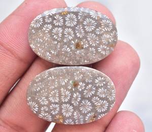 Fósil Natural de Coral, piedra semipreciosa de tamaño libre, par de gemas - Product Image 1