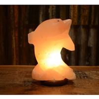 Lampes de sel de l'Himalaya IMPEX PAKISTAN en gros, sculptées à la main, courbes naturelles, matériau organique rose, logo personnalisé, décoration intérieure