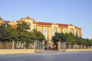 ขนเวียดนามสีขาวล้างมากกว่า2ซม - Product Image 2