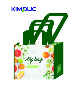 Bolsa de mano no tejida de PP reciclable, bolsa de compras de vino para exposición de supermercado, hecha en Vietnam, Material plástico para construcción de tuberías - Product Image 2